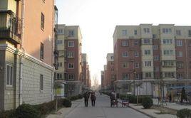 龍脈花園 龍脈花園