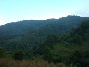 俚灑自然村 俚灑自然村