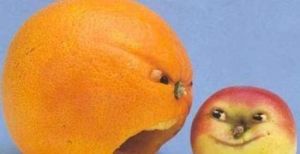 百果島生態園 百果島生態園