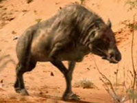 古齒獸次目 古齒獸次目