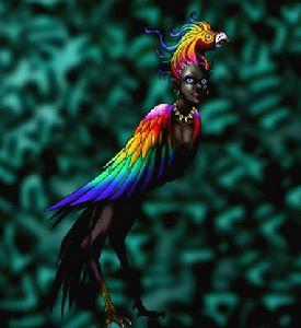 賀拉瓦卡 賀拉瓦卡