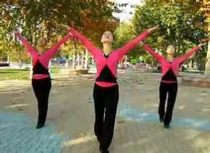 踏歌廣場舞 踏歌廣場舞