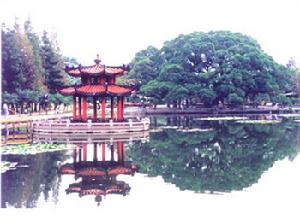 金佛山國家森林公園