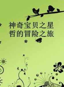 神奇寶貝之星哲的冒險之旅 神奇寶貝之星哲的冒險之旅