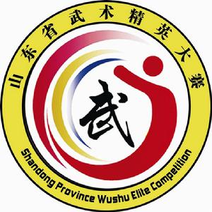 山東省武術精英大賽 山東省武術精英大賽