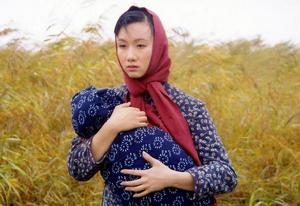 風聲鶴唳[大陸電視劇]