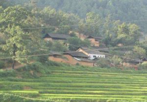 下半山自然村 下半山自然村