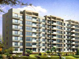 金大洋花園 金大洋花園