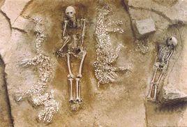 濮陽西水坡遺址 濮陽西水坡遺址