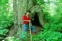 周繇[通化師範學院教授]