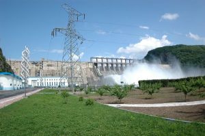 國電電力和禹水電開發公司