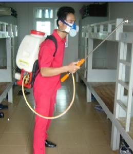 深圳金衛士臭蟲防治公司 深圳金衛士臭蟲防治公司