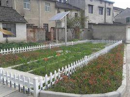 港畔農村 港畔農村