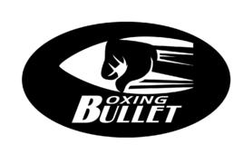 子彈飛世界極限格鬥系列賽 子彈飛世界極限格鬥系列賽