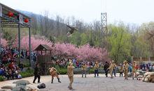 雪山彩虹谷表演項目