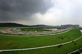 金馬國際賽馬場 金馬國際賽馬場