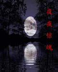 夜夜驚魂[起點小說]