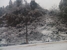 金龍巖腳村 金龍巖腳村