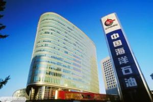 中國海洋石油有限公司