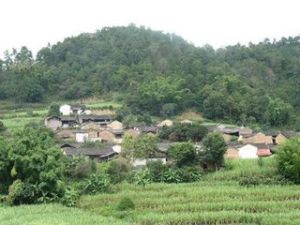 楊管哨自然村 楊管哨自然村