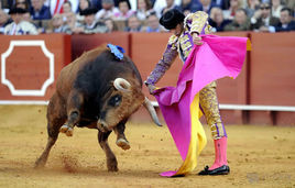 鬥牛[競技活動]