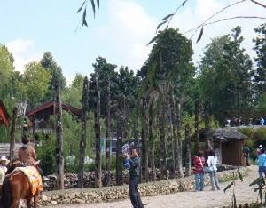 （圖）束河旅遊