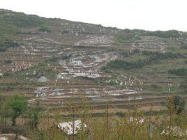 阿西里西文化 阿西里西文化