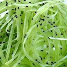 金鉤玉條 金鉤玉條