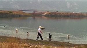 （圖）《愛與狗同行》