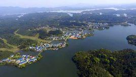 洋田村[江西定南縣天九鎮洋田村]