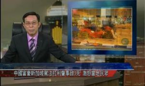 富豪蝗蟲 富豪蝗蟲