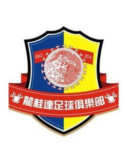 廣西龍桂達足球俱樂部 廣西龍桂達足球俱樂部
