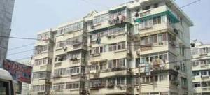 柏果樹新寓 柏果樹新寓