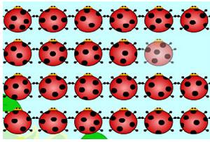 星星瓢蟲 星星瓢蟲