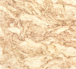 海浪金 | Surf Gold |