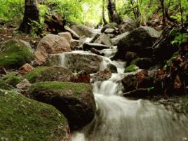 北大山森林公園 北大山森林公園
