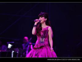 2011孟庭葦廣州演唱會 2011孟庭葦廣州演唱會