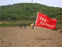 中坪鎮[貴州省黔西縣中坪鎮]