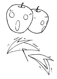 (圖)探病用的尖叫蘋果。