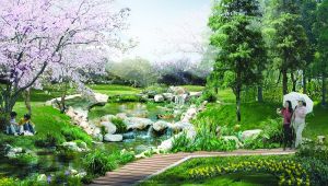 植物季相 植物季相