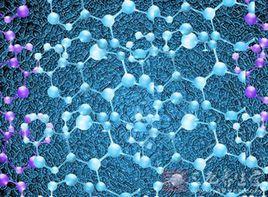 食源性肽 食源性肽