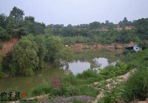 水泉自然水域垂釣園 水泉自然水域垂釣園