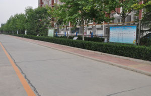 蔣莊社區 蔣莊社區