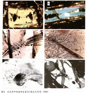 熔體包裹體 熔體包裹體