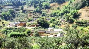 尖石頭村 尖石頭村