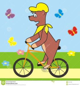 玩具熊腳踏車 玩具熊腳踏車