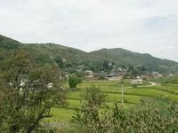 冷窪子自然村 冷窪子自然村