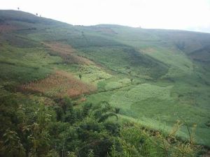 忙安自然村 忙安自然村