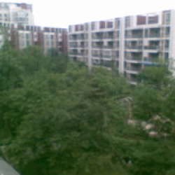 福澤欣園 福澤欣園