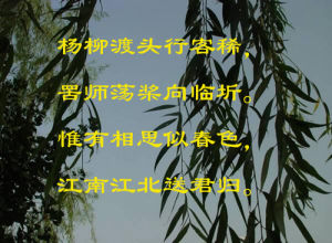 送沈子歸江東 送沈子歸江東